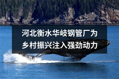 河北衡水华岐钢管厂为乡村振兴注入强劲动力
