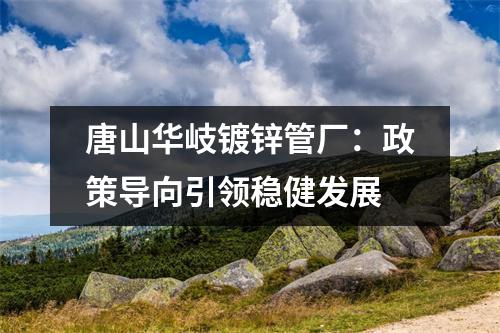 唐山华岐镀锌管厂：政策导向引领稳健发展