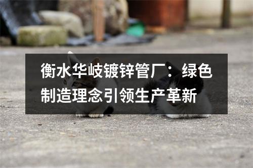 衡水华岐镀锌管厂：绿色制造理念引领生产革新