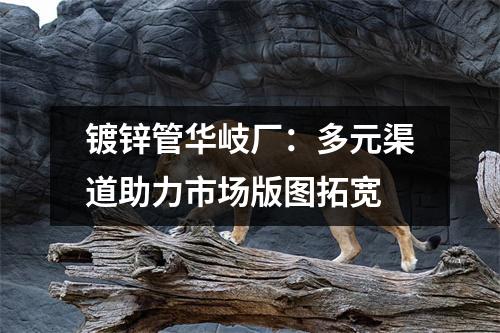 镀锌管华岐厂：多元渠道助力市场版图拓宽