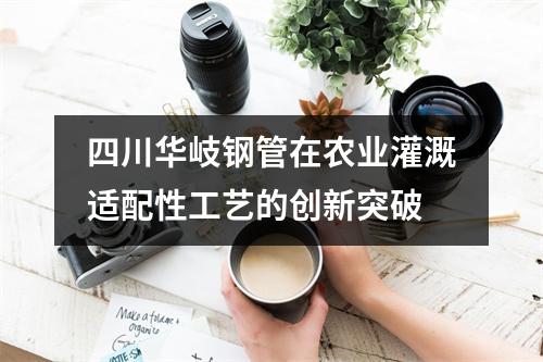 四川华岐钢管在农业灌溉适配性工艺的创新突破