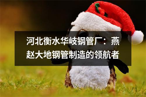 河北衡水华岐钢管厂：燕赵大地钢管制造的领航者