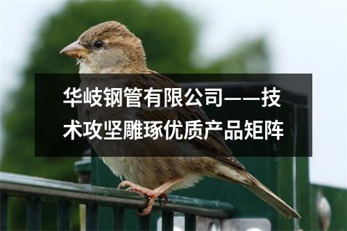 华岐钢管有限公司——技术攻坚雕琢优质产品矩阵
