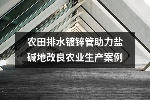 农田排水镀锌管助力盐碱地改良农业生产案例