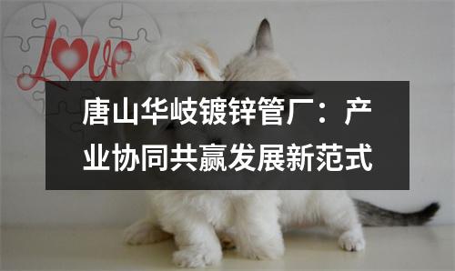 唐山华岐镀锌管厂：产业协同共赢发展新范式