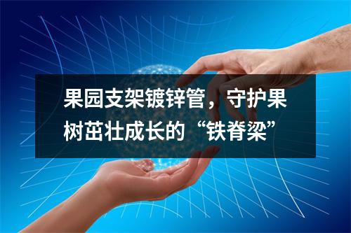 果园支架镀锌管，守护果树茁壮成长的“铁脊梁”