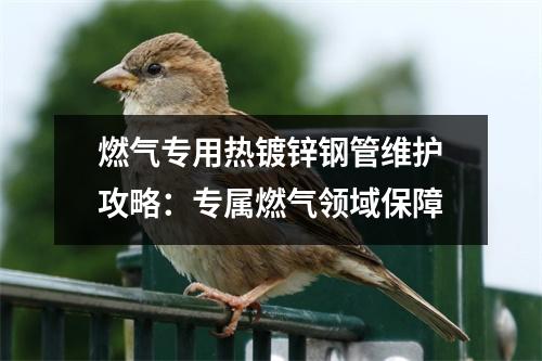 燃气专用热镀锌钢管维护攻略：专属燃气领域保障
