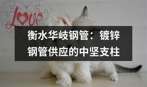 衡水华岐钢管：镀锌钢管供应的中坚支柱