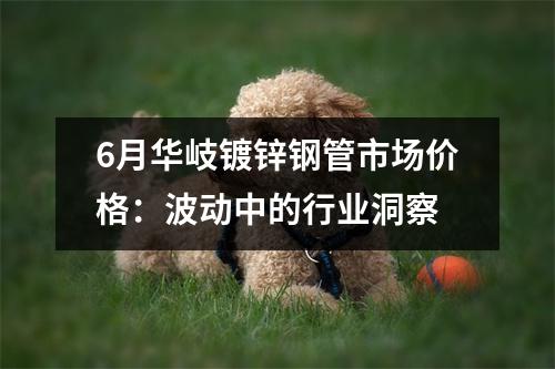 6月华岐镀锌钢管市场价格：波动中的行业洞察